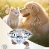 Life Memorial Diamonds Pet Hair Custom Diamonds