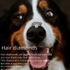 Life Memorial Diamonds Pet Hair Custom Diamonds